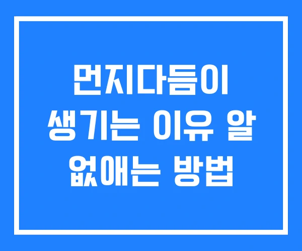 먼지다듬이 생기는 이유 알 없애는 방법