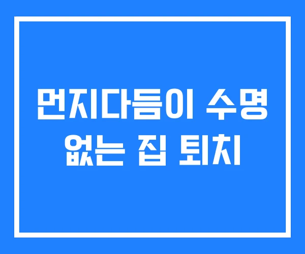 먼지다듬이 수명 없는 집 퇴치