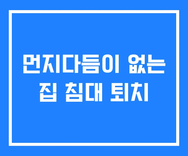 먼지다듬이 없는 집 침대 퇴치 먼지다듬이 없는 집 침대 퇴치