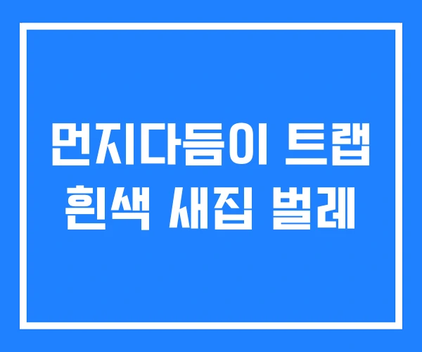 먼지다듬이 트랩 흰색 새집 벌레 먼지다듬이 트랩 흰색 새집 벌레