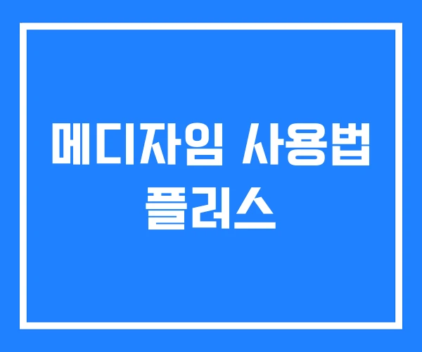 메디자임 사용법 플러스