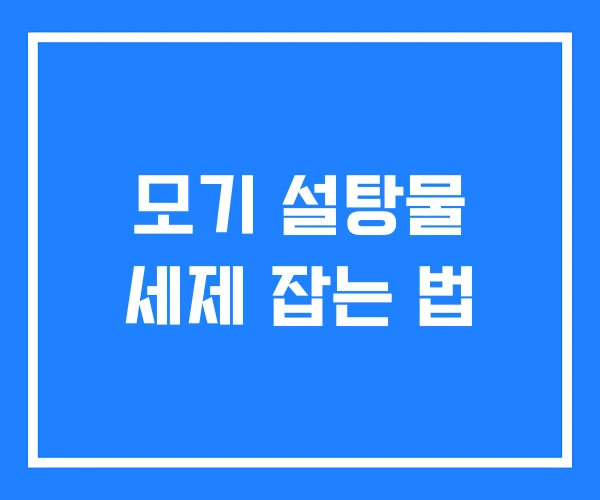 모기 설탕물 세제 잡는 법