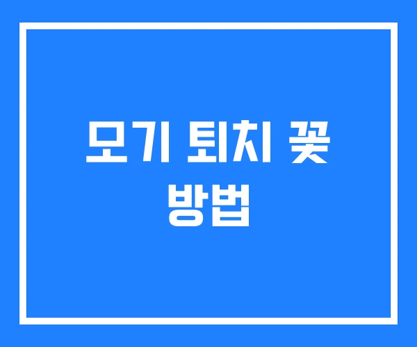 모기 퇴치 꽃 방법 모기 퇴치 꽃 방법