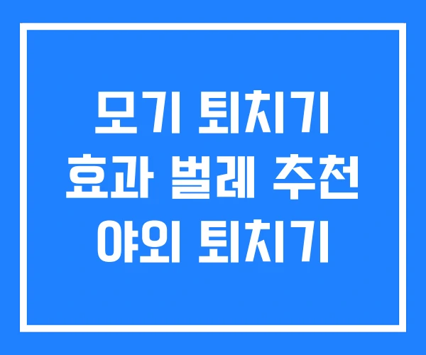 모기 퇴치기 효과 벌레 추천 야외 퇴치기