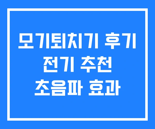 모기퇴치기 후기 전기 추천 초음파 효과