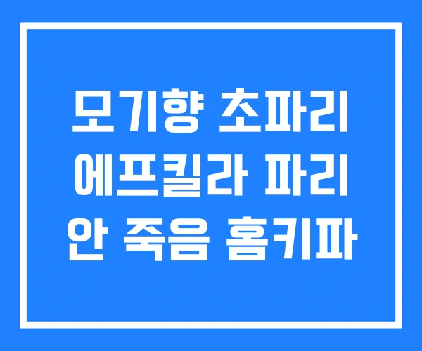 모기향 초파리 에프킬라 파리 안 죽음 홈키파
