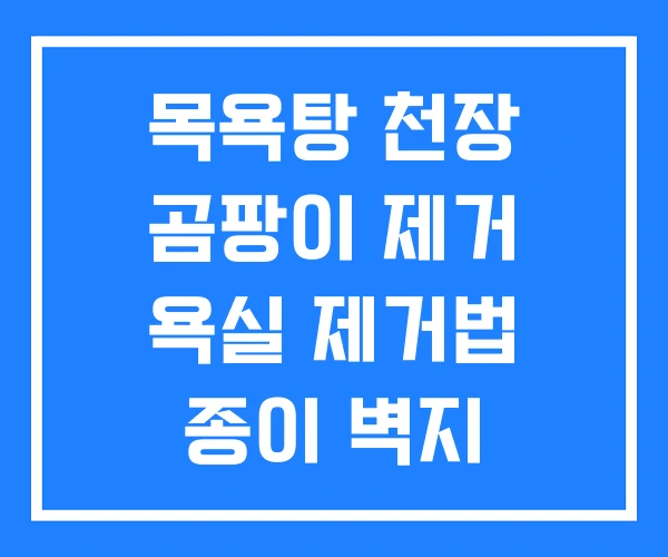 목욕탕 천장 곰팡이 제거 욕실 제거법 종이 벽지
