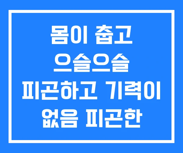 몸이 춥고 으슬으슬 피곤하고 기력이 없음 피곤한 이유