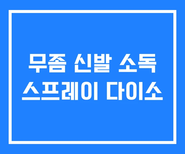 무좀 신발 소독 스프레이 다이소