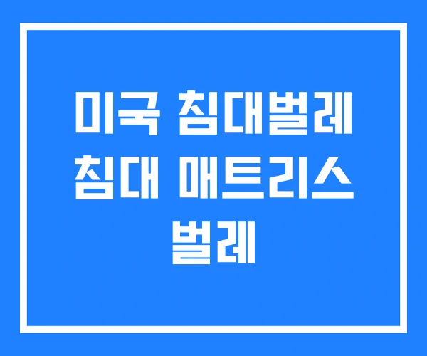 미국 침대벌레 침대 매트리스 벌레 미국 침대벌레 침대 매트리스 벌레