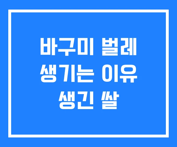 바구미 벌레 생기는 이유 생긴 쌀