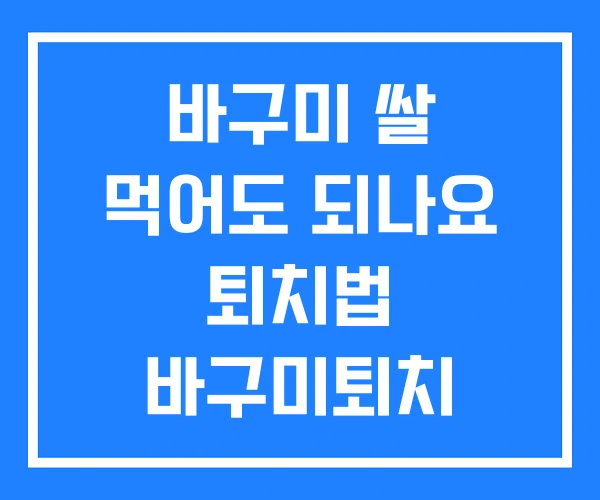 바구미 쌀 먹어도 되나요 퇴치법 바구미퇴치 바구미 쌀 먹어도 되나요 퇴치법 바구미퇴치