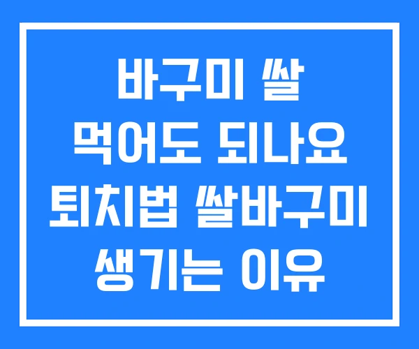 바구미 쌀 먹어도 되나요 퇴치법 쌀바구미 생기는 이유 바구미 쌀 먹어도 되나요 퇴치법 쌀바구미 생기는 이유