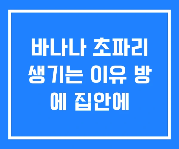 바나나 초파리 생기는 이유 방 에 집안에