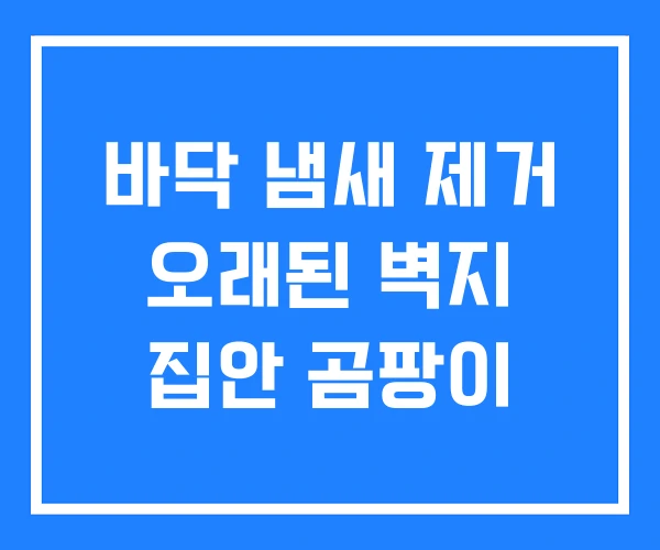 바닥 냄새 제거 오래된 벽지 집안 곰팡이