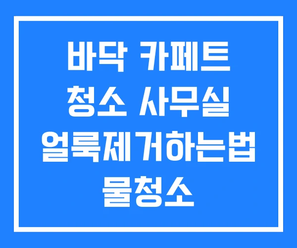 바닥 카페트 청소 사무실 얼룩제거하는법 물청소 바닥 카페트 청소 사무실 얼룩제거하는법 물청소