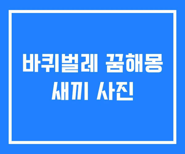 바퀴벌레 꿈해몽 새끼 사진 바퀴벌레 꿈해몽 새끼 사진