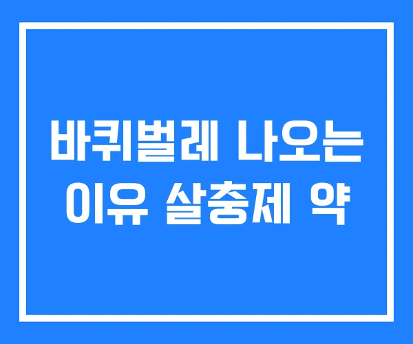 바퀴벌레 나오는 이유 살충제 약 바퀴벌레 나오는 이유 살충제 약
