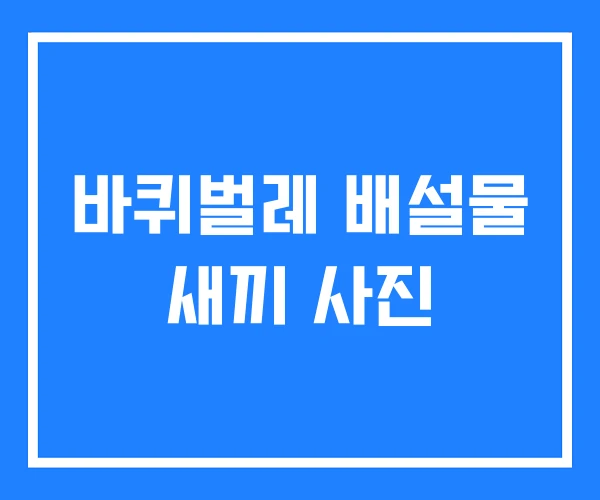 바퀴벌레 배설물 새끼 사진