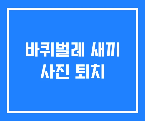 바퀴벌레 새끼 사진 퇴치 바퀴벌레 새끼 사진 퇴치