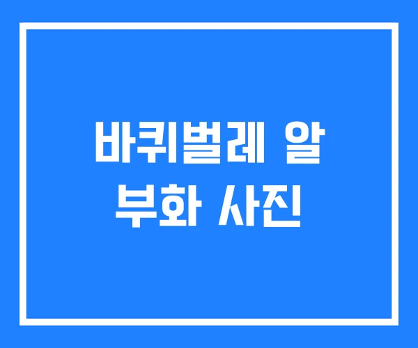 바퀴벌레 알 부화 사진 바퀴벌레 알 부화 사진