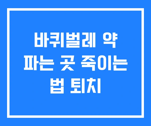 바퀴벌레 약 파는 곳 죽이는 법 퇴치 바퀴벌레 약 파는 곳 죽이는 법 퇴치