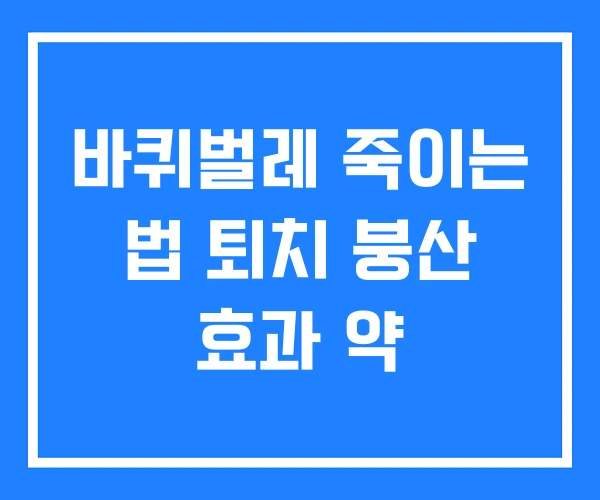 바퀴벌레 죽이는 법 퇴치 붕산 효과 약 바퀴벌레 죽이는 법 퇴치 붕산 효과 약