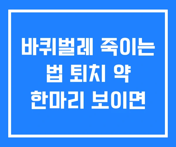 바퀴벌레 죽이는 법 퇴치 약 한마리 보이면