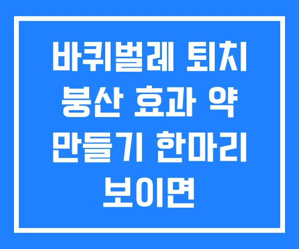 바퀴벌레 퇴치 붕산 효과 약 만들기 한마리 보이면 바퀴벌레 퇴치 붕산 효과 약 만들기 한마리 보이면