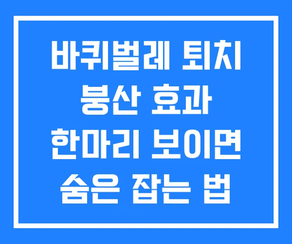 바퀴벌레 퇴치 붕산 효과 한마리 보이면 숨은 잡는 법