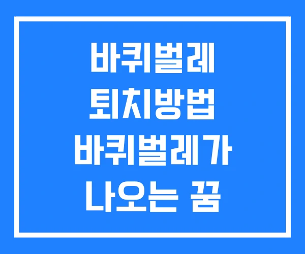 바퀴벌레 퇴치방법 바퀴벌레가 나오는 꿈 좋아하는것