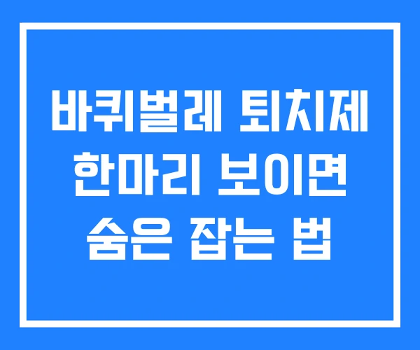 바퀴벌레 퇴치제 한마리 보이면 숨은 잡는 법