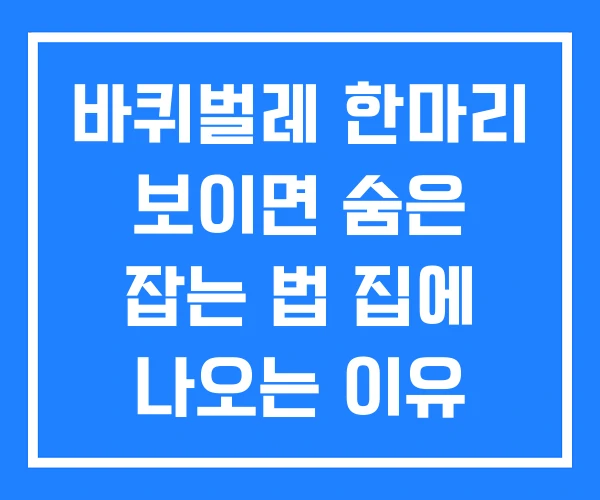 바퀴벌레 한마리 보이면 숨은 잡는 법 집에 나오는 이유 바퀴벌레 한마리 보이면 숨은 잡는 법 집에 나오는 이유