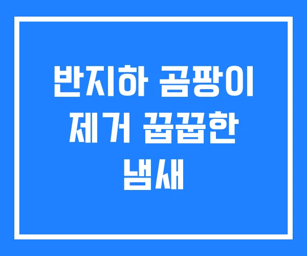 반지하 곰팡이 제거 꿉꿉한 냄새