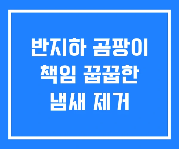 반지하 곰팡이 책임 꿉꿉한 냄새 제거 반지하 곰팡이 책임 꿉꿉한 냄새 제거