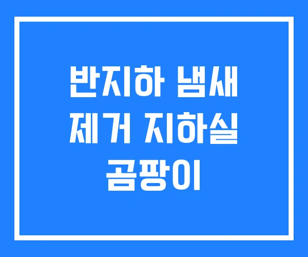 반지하 냄새 제거 지하실 곰팡이 반지하 냄새 제거 지하실 곰팡이