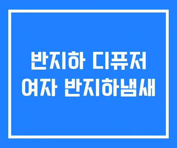 반지하 디퓨저 여자 반지하냄새