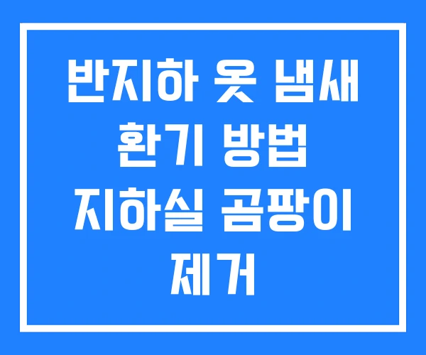 반지하 옷 냄새 환기 방법 지하실 곰팡이 제거