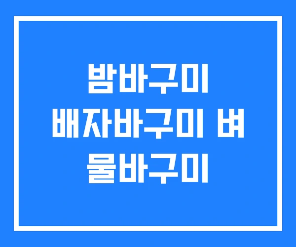 밤바구미 배자바구미 벼 물바구미