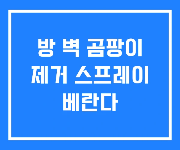방 벽 곰팡이 제거 스프레이 베란다