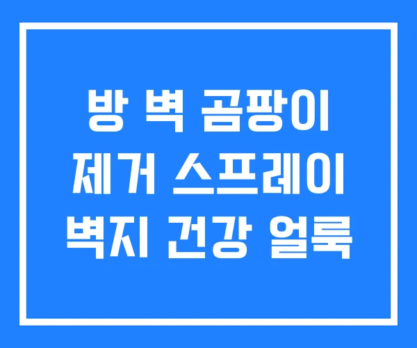 방 벽 곰팡이 제거 스프레이 벽지 건강 얼룩