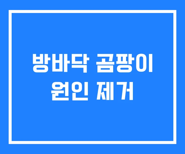 방바닥 곰팡이 원인 제거
