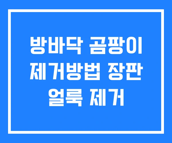 방바닥 곰팡이 제거방법 장판 얼룩 제거 방바닥 곰팡이 제거방법 장판 얼룩 제거