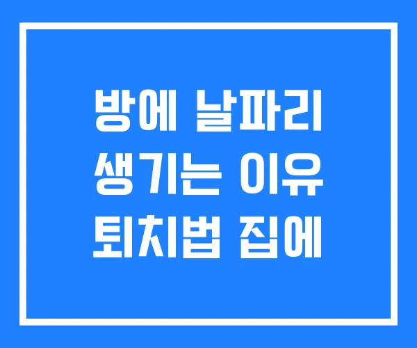방에 날파리 생기는 이유 퇴치법 집에