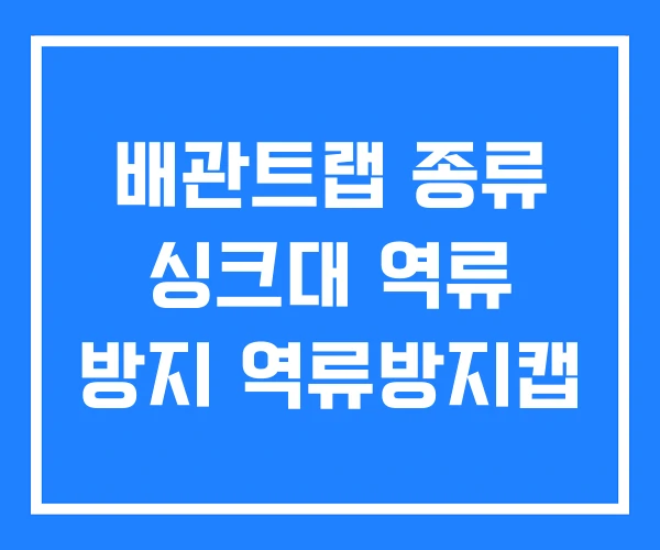 배관트랩 종류 싱크대 역류 방지 역류방지캡