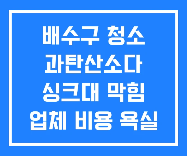 배수구 청소 과탄산소다 싱크대 막힘 업체 비용 욕실