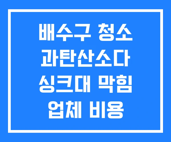 배수구 청소 과탄산소다 싱크대 막힘 업체 비용 배수구 청소 과탄산소다 싱크대 막힘 업체 비용
