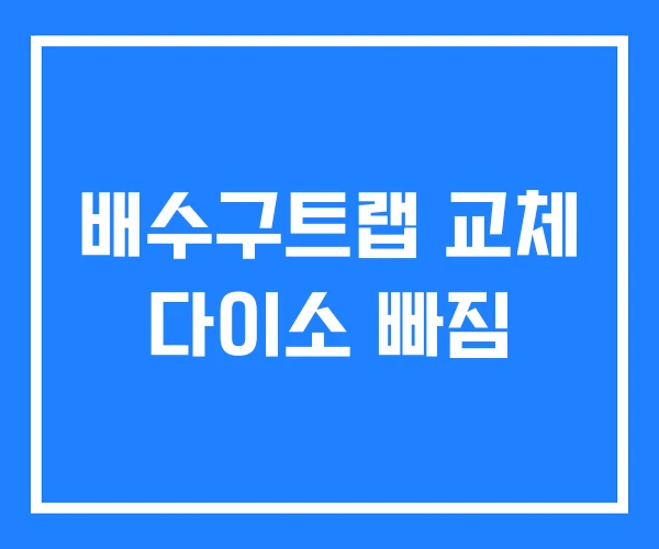 배수구트랩 교체 다이소 빠짐