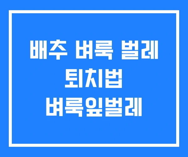 배추 벼룩 벌레 퇴치법 벼룩잎벌레