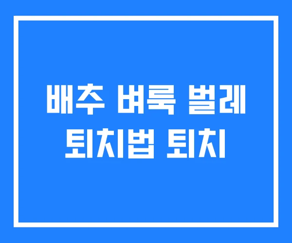 배추 벼룩 벌레 퇴치법 퇴치 배추 벼룩 벌레 퇴치법 퇴치